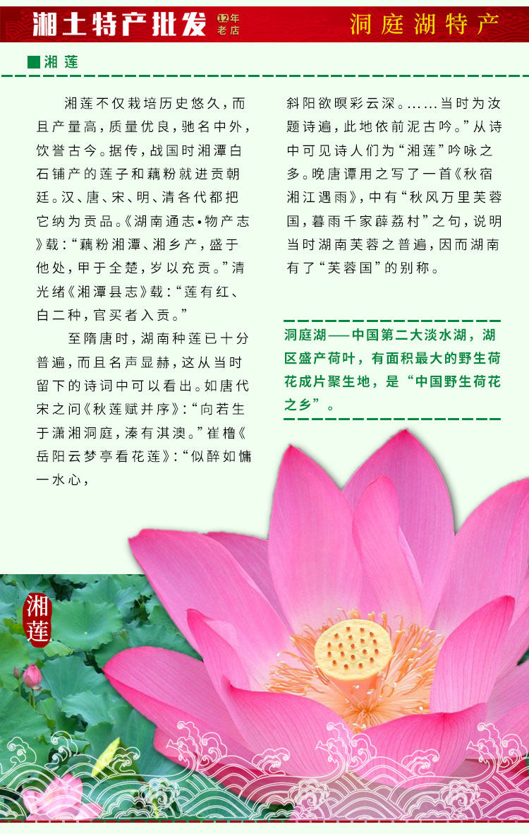 [湘莲介绍-2.jpg]