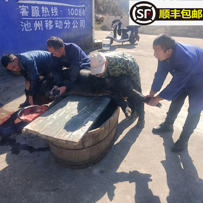 Authentic Countryside Farmhouse Feeding Antan Black Hair Pork Fresh Now Killing Native Pork Front Leg Rear Leg Meat Five Flowers Flesh Ribs-Taobao