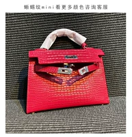 Ящерица Кинг на 19 дюймов больше цветов Свяжитесь с обслуживанием клиентов