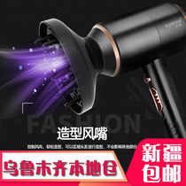 Hot and cold wind wind hood hair dryer net red household high-power hair care negative ion hair dryer Xinjiang