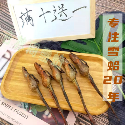 Xiangbei Xi Changbai Mountain Forest Rana Oil Сухое масло снежных моллюсков Northeast Forest Rana Сушеная жаба Сушеное жабье масло 8 г
