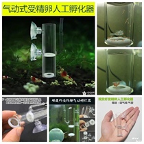 Pneumatic ornamental shrimp fertilized egg incubator crystal shrimp shrimp shrimp shrimp opposite sex and other ornamental fish artificial hatching