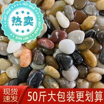 Natural cobblestone quintile stone small stone 50 catty pebble fish tank small stone courtyard fine polished cobblestones