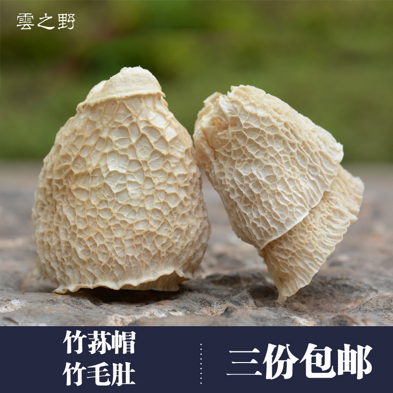 竹荪菌盖,竹荪菌,竹荪(第7页)_大山谷图库