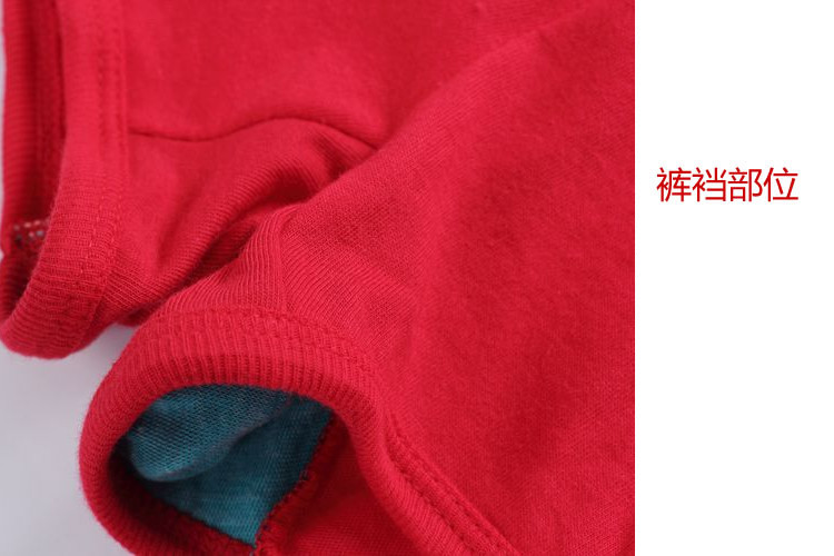 Slip 0102-1 en coton - Ref 646756 Image 15