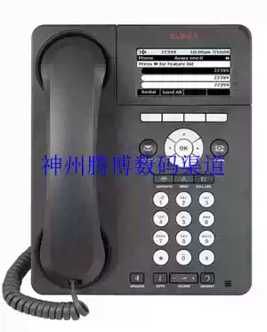 Avaya 1608-I 9608 9620L 9608G 9611G 9621G 9641GS IP Telephone