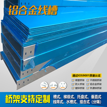 Fireproof spray 304 stainless steel bridge metal hot dip zinc aluminum alloy groove ladder type galvanized large span wire groove