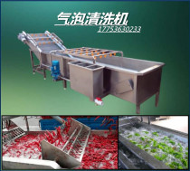 Bubble cleaning machine for food factories Vegetable processing equipment