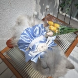 Горный чай, майка топ для выхода на улицу, наряд маленькой принцессы, в стиле Шанель