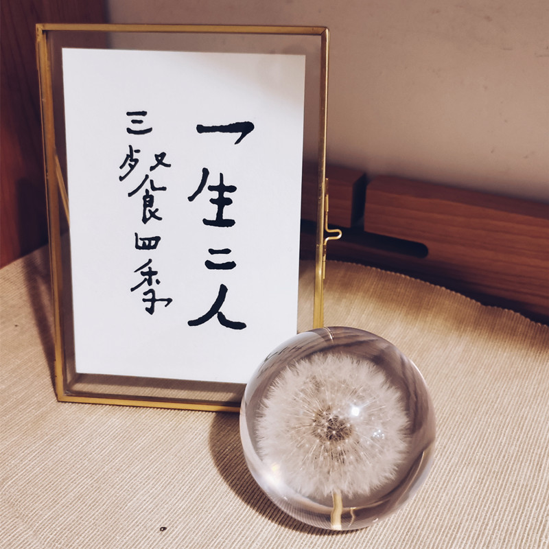 Dandelion Rose Town Paper Flowers Wentron Gift Plant Specimen Water Crystal Ball Resin Creative Gift