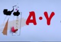 AY 轻奢工厂集合店
