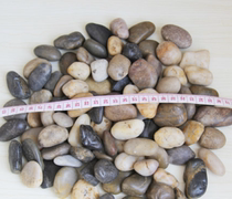 Open material Reggio teaching aids loose part part natural small stone 5kg a kindergarten Waldorf