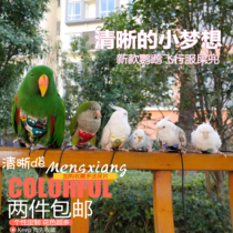 New pet bird pigeon parrot clothes diapers diapers diapers flying suit shit pocket