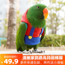 Clear home parrot bird clothes warm clothes Xuanfeng winter cotton clothes cartoon sweater hooded Shentong