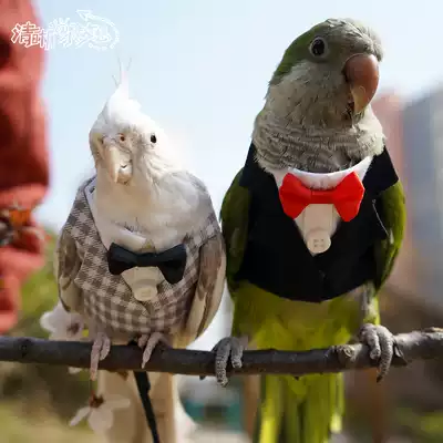 Clear Home Bird clothes parrot pet spring coat small dress flying coat handsome white collar suit Shentong