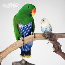 Zheng Hans bird diapers pet parrot clothes flight clothes shit pocket diapers diapers one piece can be customized