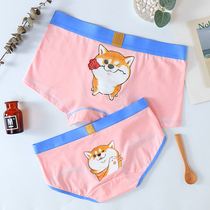 Concentric Grass New Cute Cute Cute dog lovers Modale Pure cotton Mens and womens underwear Creative personality Valentines Day gift