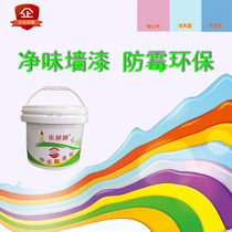 Leyan brand clean white interior wall latex paint Wall repair paint Wall repair paint color environmental protection paint water paint