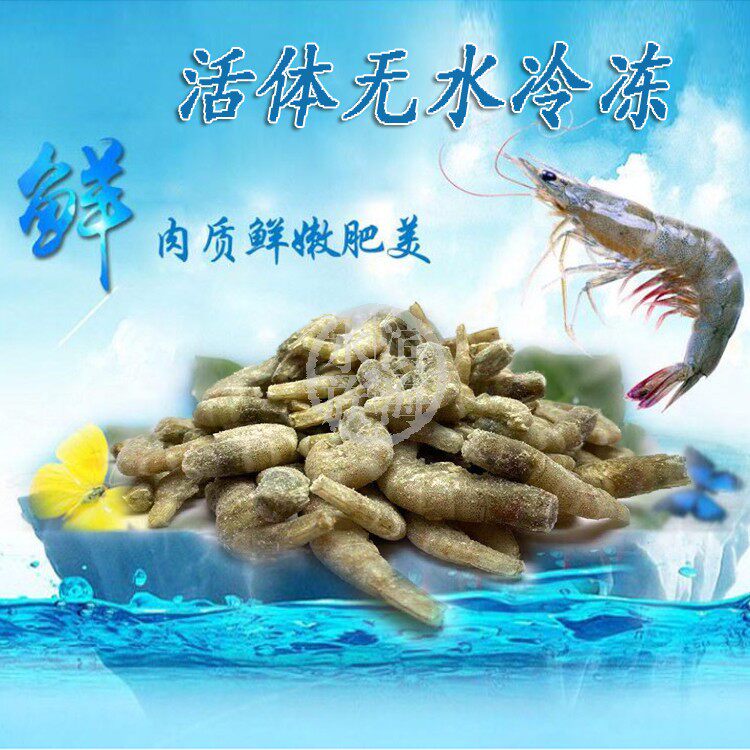 Fresh Frozen Shrimp Frozen Freshwater River Shrimp Gold Dragon Special Fish Tiger Fish Ray Live Feed