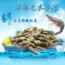 Fresh Frozen Shrimp Rind Frozen Freshwater River Shrimp Grass Gold Clay Loach Longfish Special Fish Food Tiger Fish Stingray Fish Live Feed