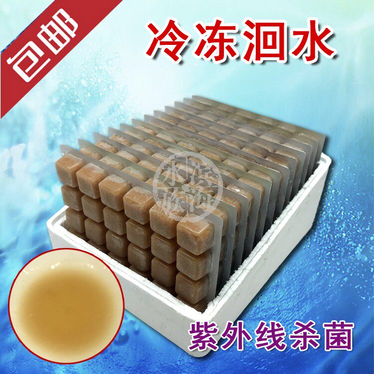 Frozen migratory water Frozen paramecia Swallowfish Betta Fish opening feed for small fry juvenile fish food