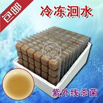 Frozen Whirlpool Water Frozen Grass Caterpillar Swallow Fish Bullfish Small Fish Fry Open Feed Juvenile Fish Fish Food