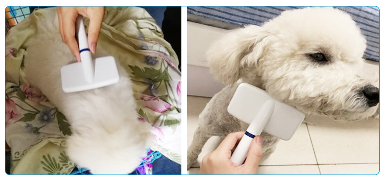 Pet chải làm sạch kim chải lược chải lông mèo chải lông bông tẩy lông chải lông chó chải lông sản phẩm làm đẹp - Cat / Dog Beauty & Cleaning Supplies chải lông chó