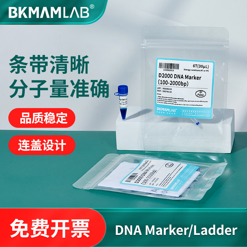 DNA Marker/Ladder三色预染蛋白核酸凝胶电泳实验分子量标准