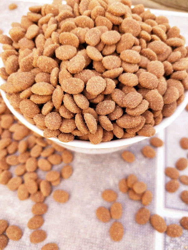 Số lượng lớn thức ăn cho chó tự chế thức ăn tự nhiên chó con chó trưởng thành - Gói Singular thức ăn hạt cho chó poodle