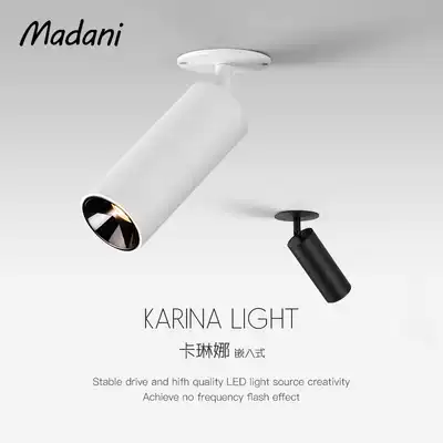 Spot lamp Nordic personality creative LED living room ceiling light embedded downlight cob home background wall hanging painting clothing store