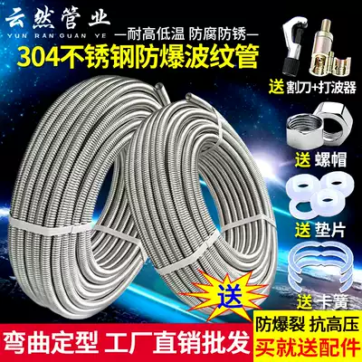Stainless steel explosion-proof bellows 4 points 6 points water heater faucet hot and cold water pipe 304 threaded pipe metal hose