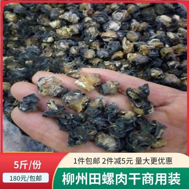 Liuzhou conch dried conch dried conch dried conch dried conch dried conch dried conch dried conch dried conch dried conch dried conch dried conch dried conch dried conch dried conch dried conch dried conch dried