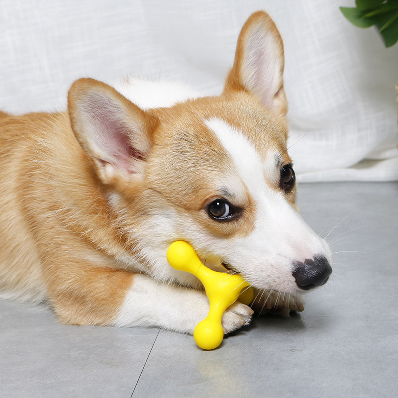 Dogs do not pour glue Toys Koki Fou Teddy small dog puppies Puzzle Training Grinders to Bite Resistant Stuffers