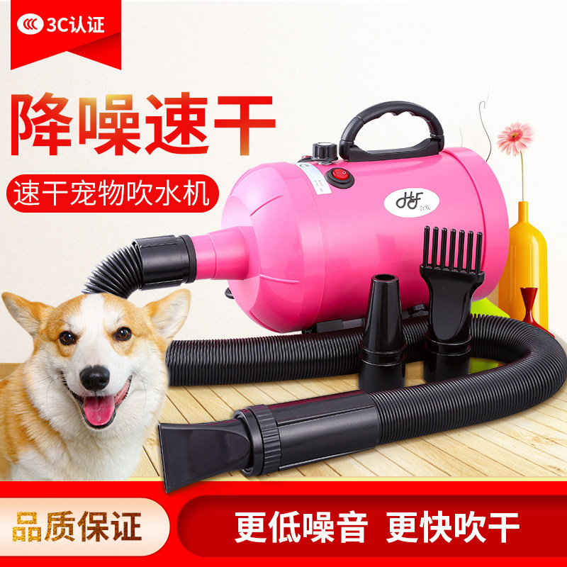 Pet water blower home high-power dog hair dryer drying hair blowing corgi dog bath blow dry quick-dry artifact