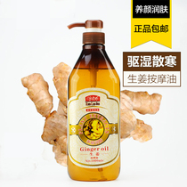 Little teacher ginger essential oil 1000ml Body massage massage base oil Cupping oil Open back scraping oil