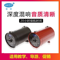  AKER Aike AK38X (Y)multi-function loudspeaker singing machine reverb effect is good entertainment morning practice Erhu
