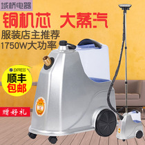 Domain bridge ironing steam iron household with e8 copper core high power clothing store hanging ironing machine