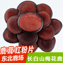 Changbai Mountain Northeast fresh Jilin plum deer antler red powder slices male stubble nutrition nourishing wine soup