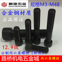 12 9 level hexagon socket screw cylinder head Cup head screw M22M24M27M30M36M42M48 Pengchi EG