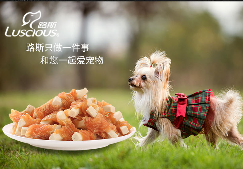 Lusi pet dog zero food teddy lông vàng mol mol gà khô canxi sữa bọc thịt 400g thịt khô - Đồ ăn vặt cho chó thức ăn cho chó phốc