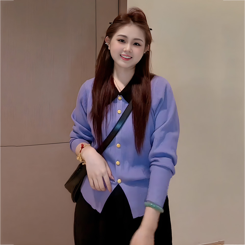 Plus-Size Purple Polo Collar Sweater Knit Top for Women, New Spring Style, Loose Fit for Chubby Girls, Slimming, Very Stylish, Color-Blocked Top