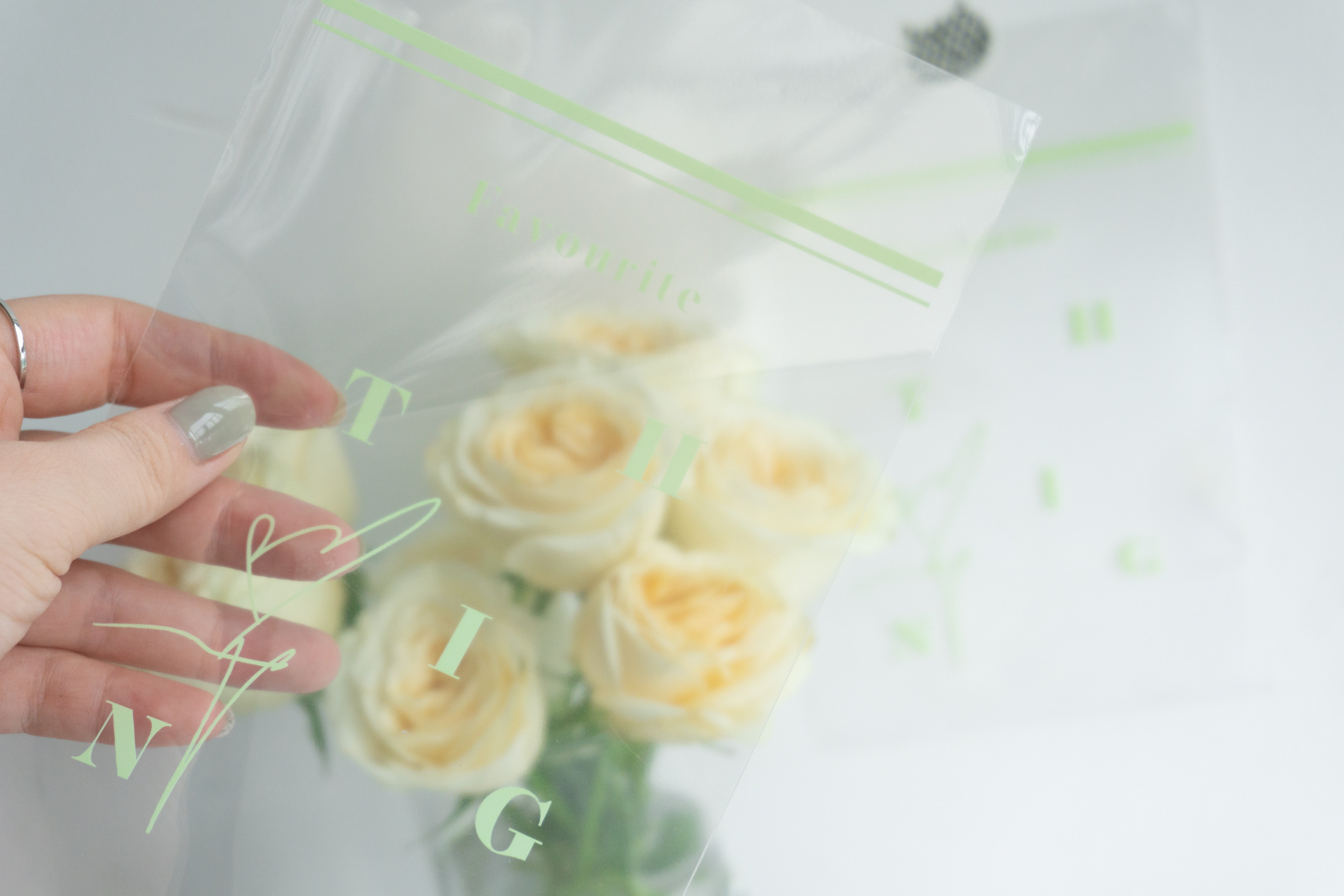 Chestnut Chestnut Favourite Thing original opp packing bag flat pocket 10 silk 10