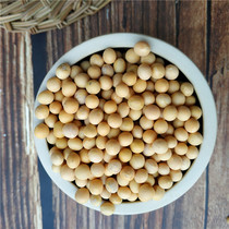 Farmhouse Self-planting soybean oval bulky soybean with soybean milk-pressed oil material special soybean soybean old variety 250g