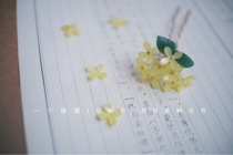 A drawer "antique osmanthus hairpin Han clothing hair accessories headdress diy handmade material package birthday gift 38