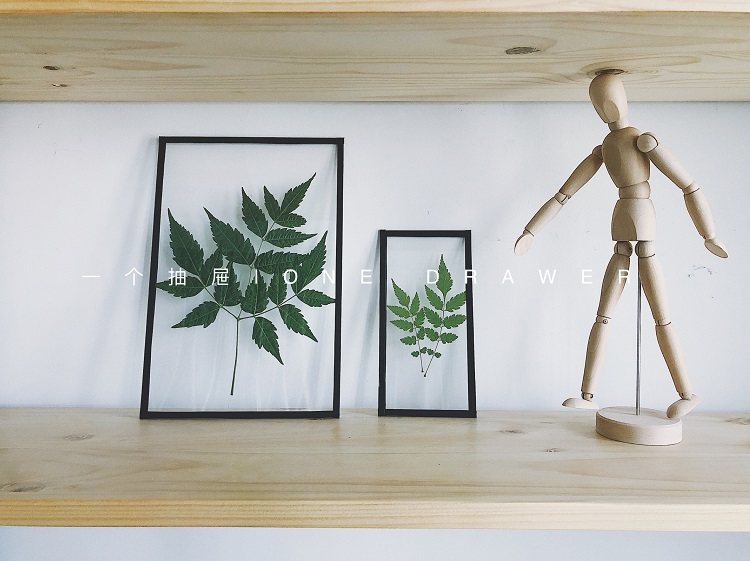 "A drawer" plant photo frame transparent acrylic plate leaf specimen diy material package 38 sections