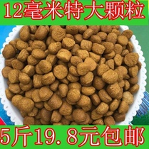 Large grain fish feed hooks fish feed bait stock grass carp carp carp pond lice fish feed special fish feed
