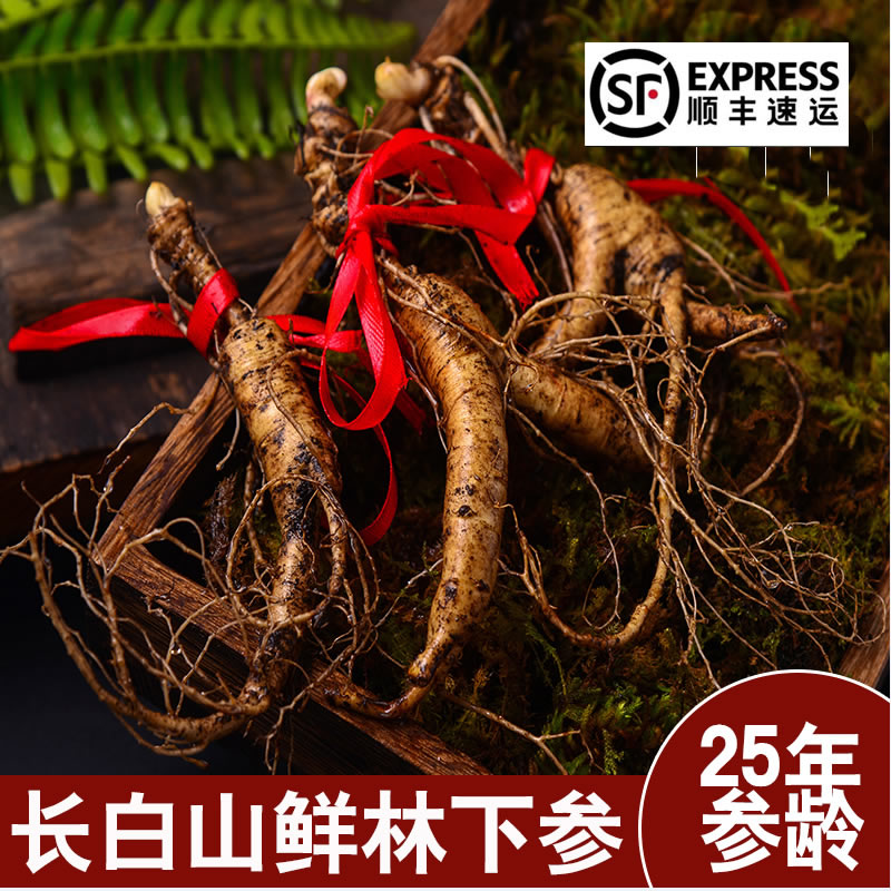 Changbai Mountain fresh ginseng wild ginseng saponin material under the forest ginseng ginseng gift box 25 years ginseng old mountain ginseng bubble wine gift