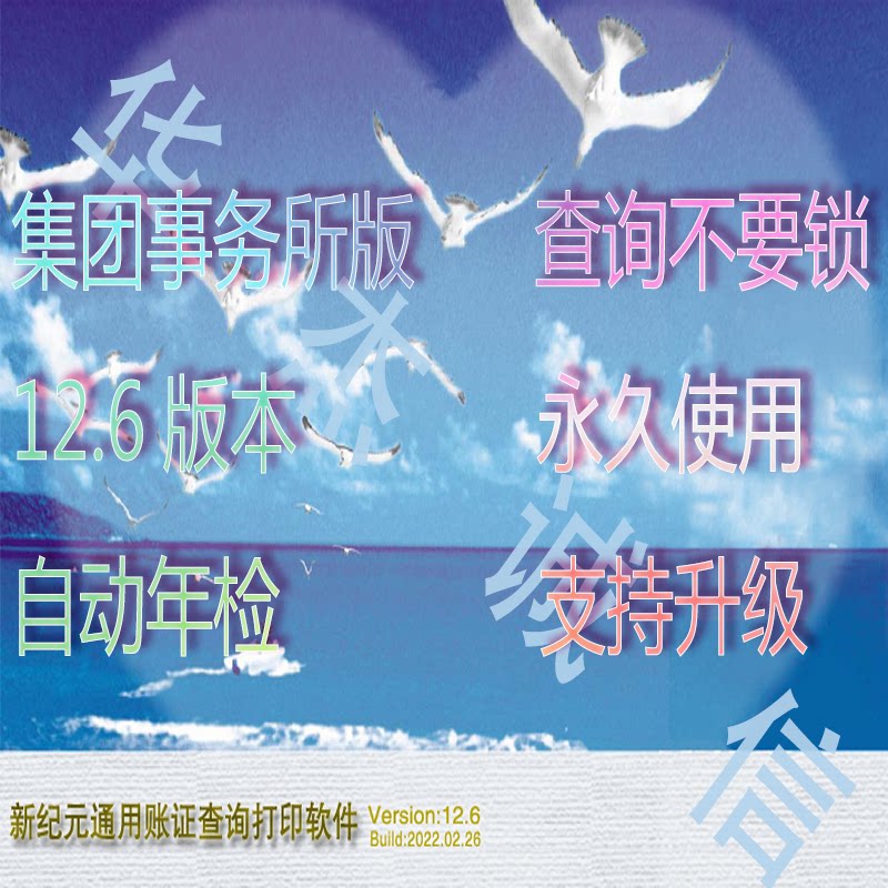 New Era General Ledger Inquiry Printing Software Firm Group Edition 12 6 Account Certificate Audit Software Gmil Lock