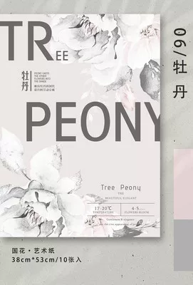 Классическая упаковка для букета, флористический набор, компактный 20×13×0,9 см (несколько цветов)