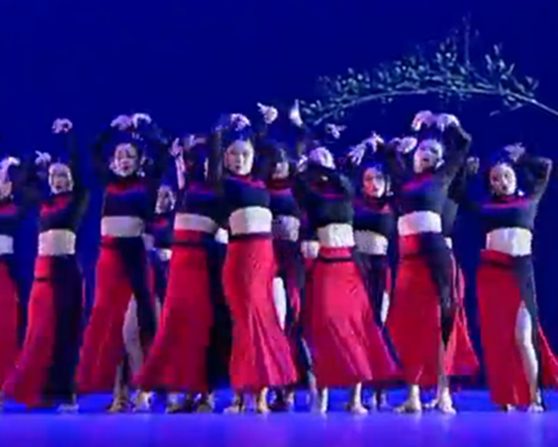 New Modern Dai Dai Dai Dance Show Minority Dance Dance Dance Tangyu Same Performance Costume